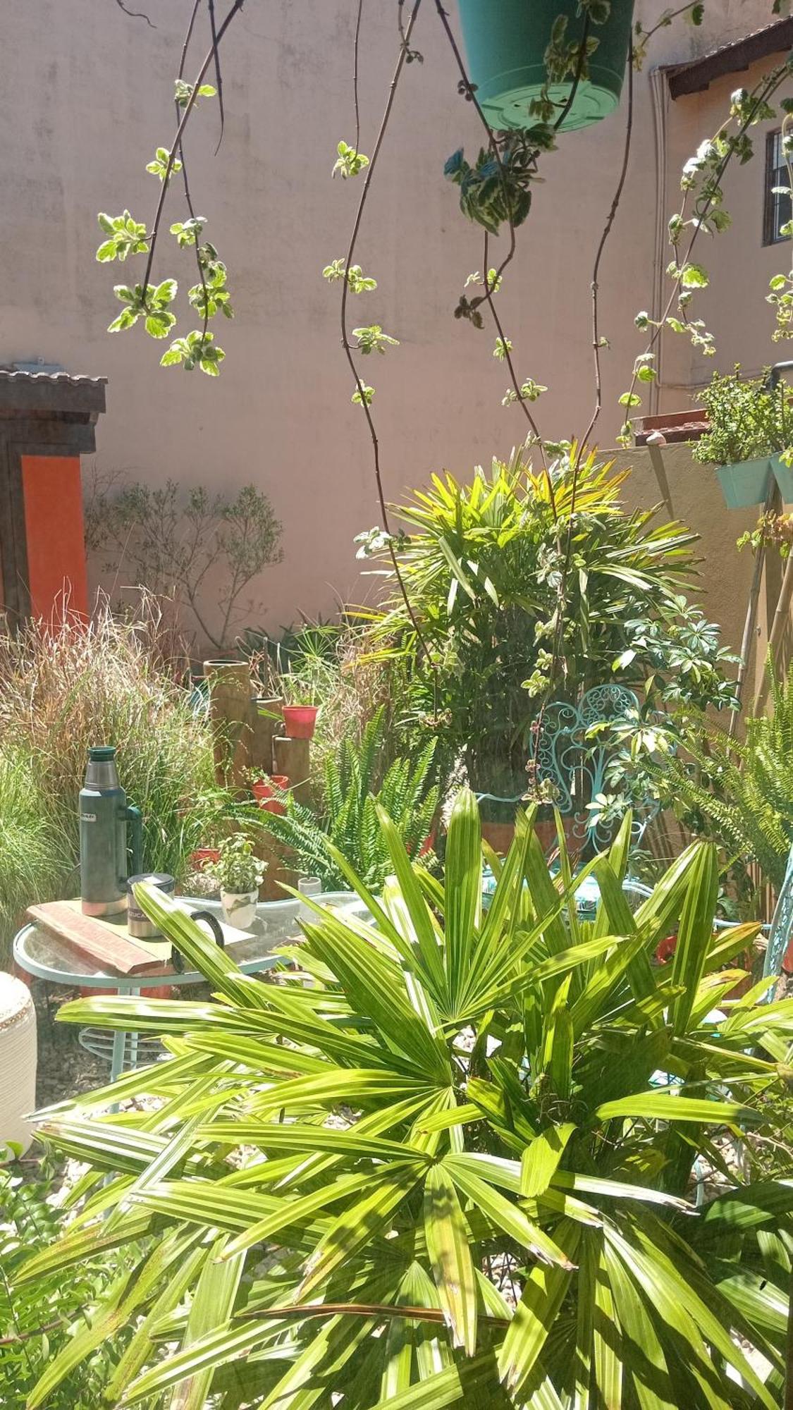 El Paraiso Apartment *