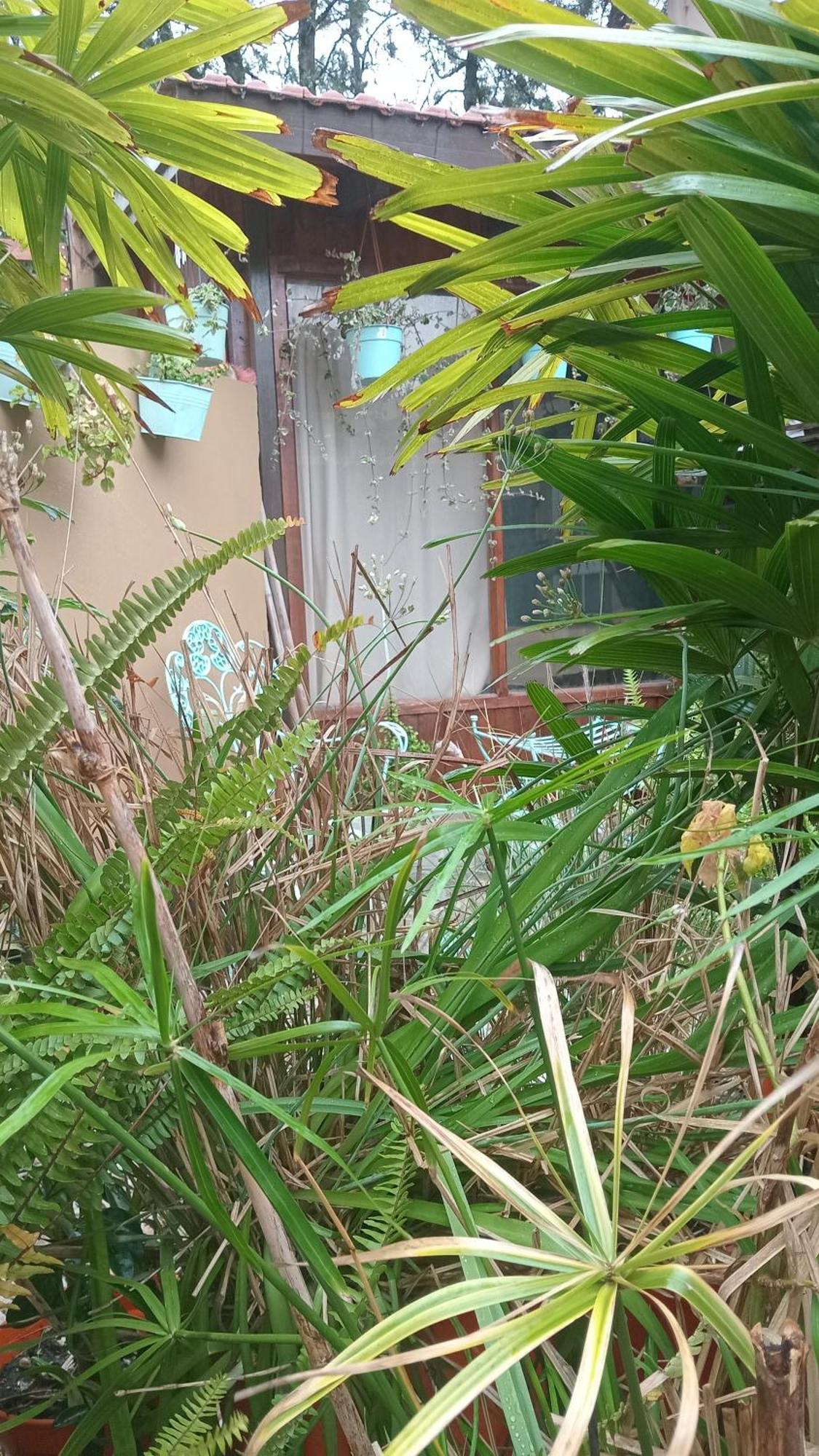 El Paraiso *